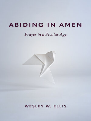 cover image of Abiding in Amen